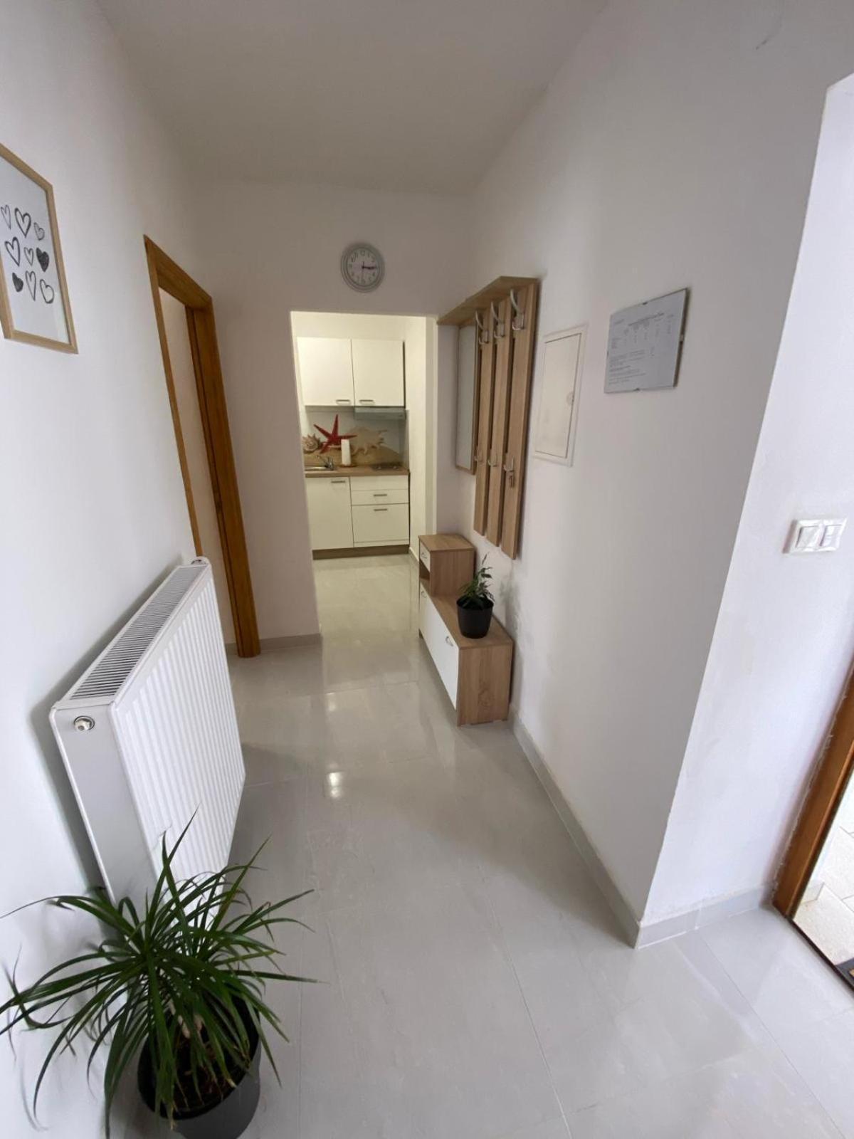 Apartmani Radosav Šilo Εξωτερικό φωτογραφία